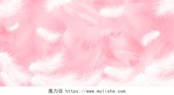 粉色白色简约唯美羽毛羽毛展板背景羽毛背景